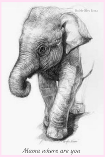 Mama where are you - baby elephant - buddy blog ideas