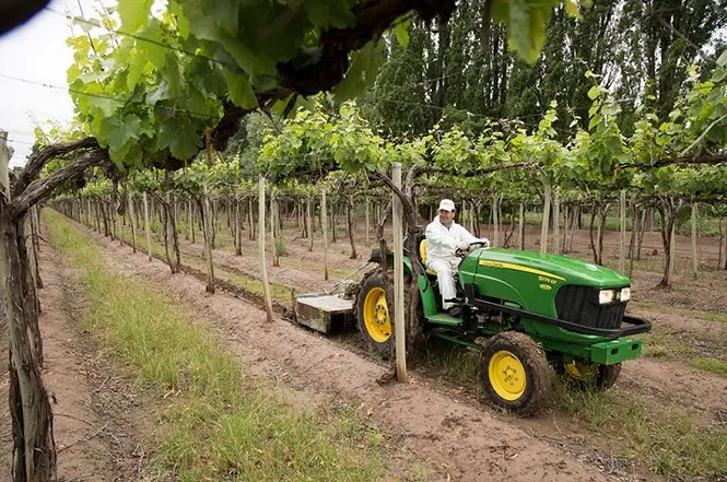 Impulsan Ley para modificar y equiparar el Seguro Agrícola