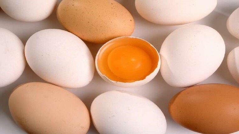 The benefits and harms of eating eggs daily