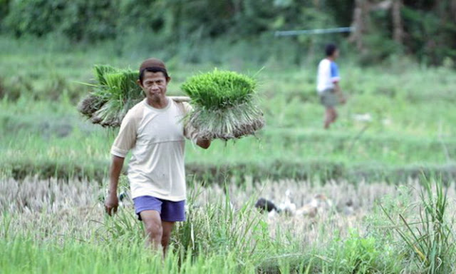 Amalan bagi Pedagang dan Petani agar Dilancarkan Usahanya oleh Allah