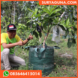 planter bag dari suryaguna 085646415014