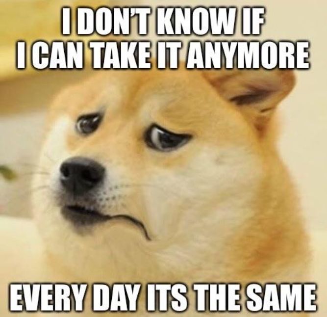Every day its the same! - Funny Doge Memes That Will Keep You Laughing for Hours