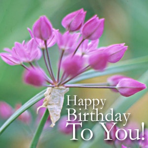 Happy Birthday To You .. Good morning Email message