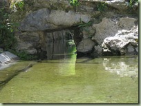 imagen 143