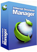 Logo IDM - LSM Download 