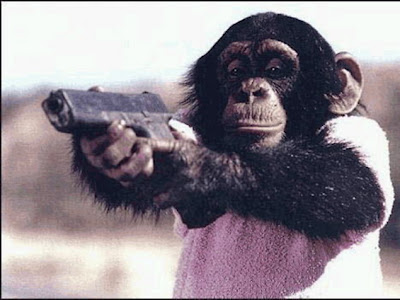 Gorillas with gun wallpapers