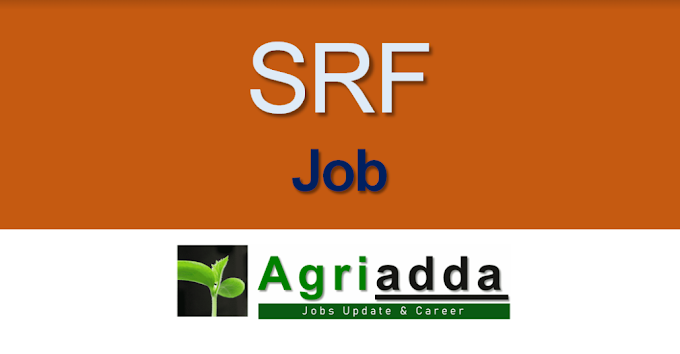 Senior Research Fellow | (SRF) | April 2024 | Job 46