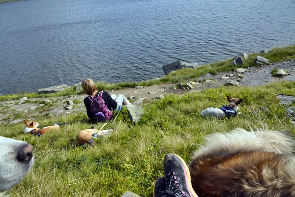 Iungsdalen Iungsdalshytta Tovika
