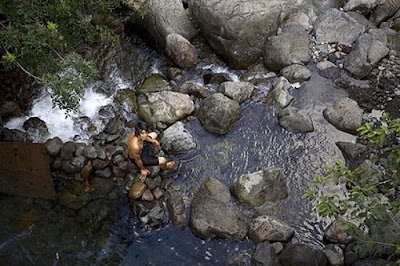  after  jumping from tall bridge he saved