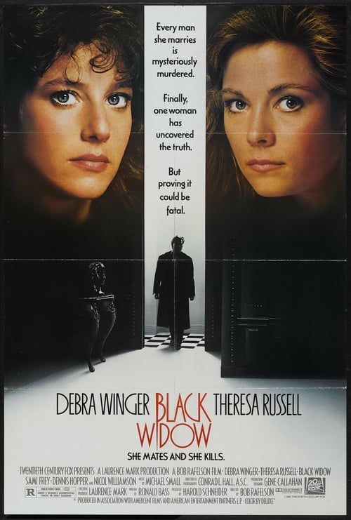 [HD] El caso de la viuda negra 1987 DVDrip Latino Descargar