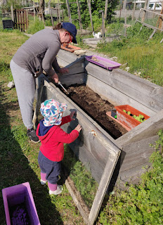 Rosie helping mummy plant out seedlings