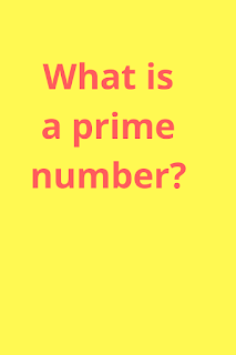 what is a prime number