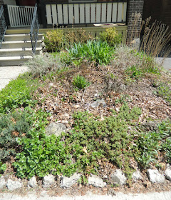 Monarch Park  garden cleanup before by Paul Jung Gardening Services Toronto