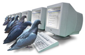 PigeonRank prank google