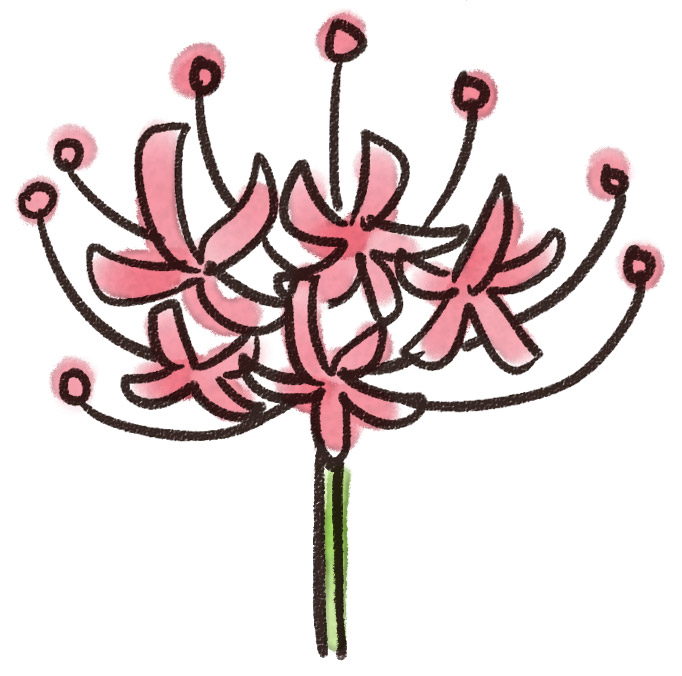 彼岸花のイラスト 花 ゆるかわいい無料イラスト素材集