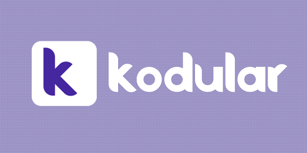 How to Make Money from Kodular Website:Making apps using without coding 