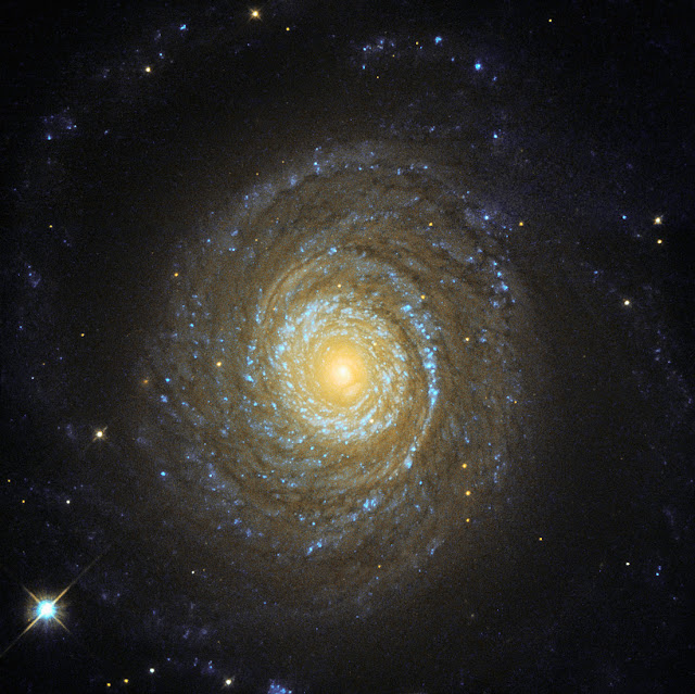 Spiral Galaxy NGC 6753
