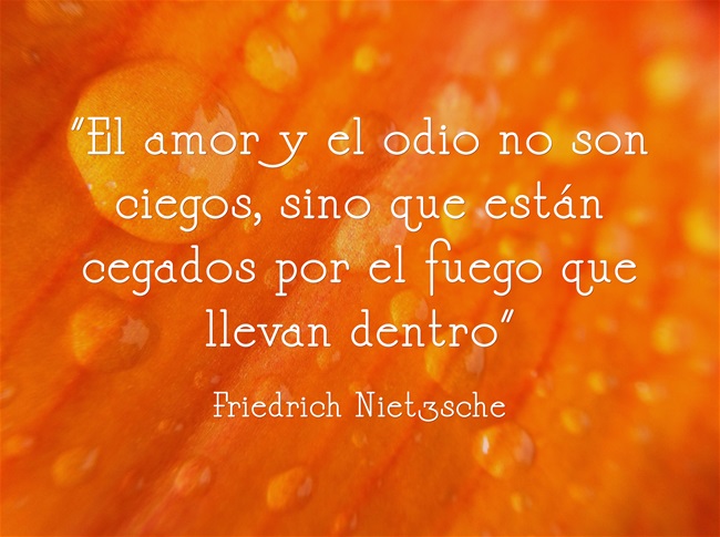 AMOR Y ODIO - NIETZSCHE - Cartas de amor