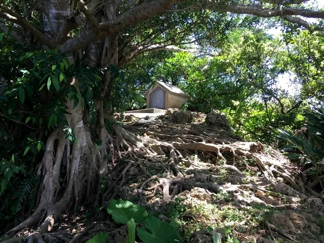 "Urasoe General Hospital" West Exit 51