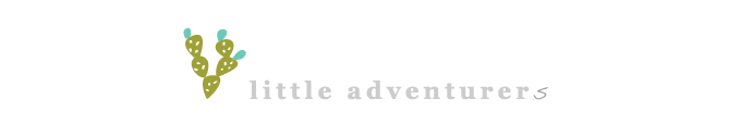 Little Adventurer