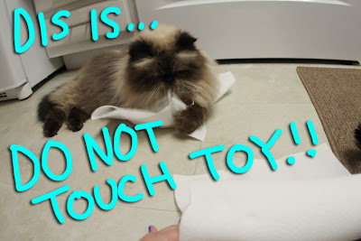 do not touch toy 02