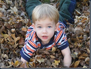 raking leaves halloween with Raleigh 030