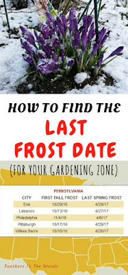 How to find your last frost date.