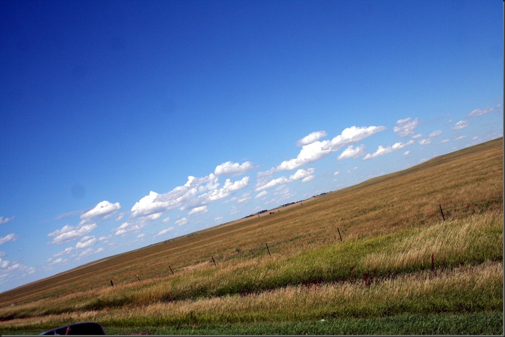 Sturgis2010-099