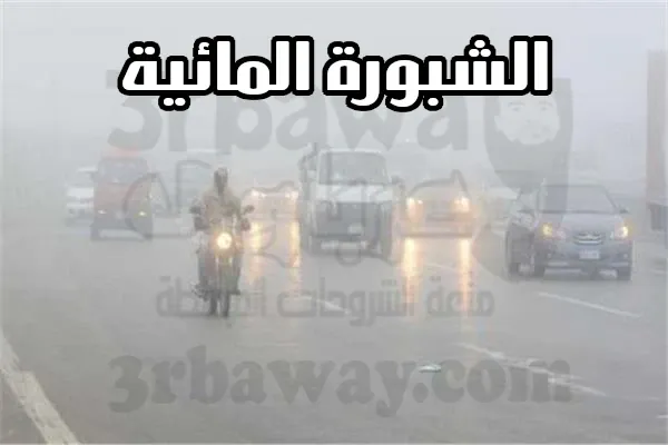 ٦ نصائح مهمة جدا لقيادة آمنة في الضباب