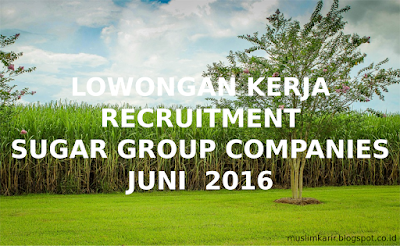 LOWONGAN KERJA RECRUITMENT SUGAR GROUP COMPANIES JUNI  2016