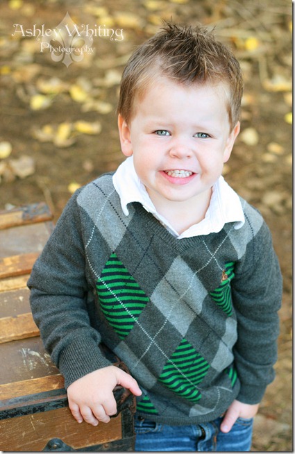 bradley1