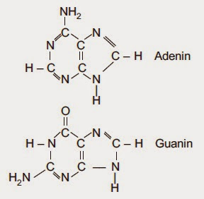 Rumus bangun pirimidin