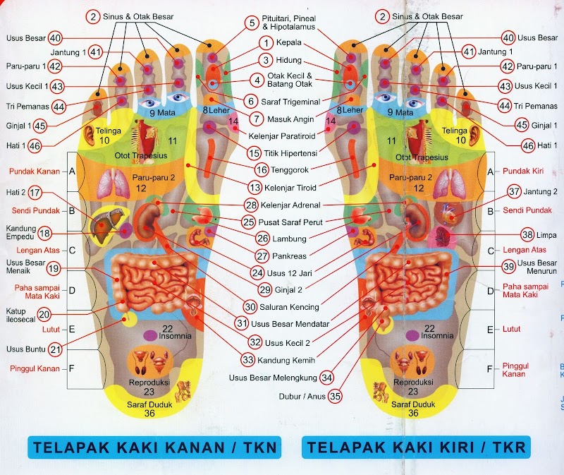 Inspirasi Terbaru Kaki Sakit Saraf, Tato Batik