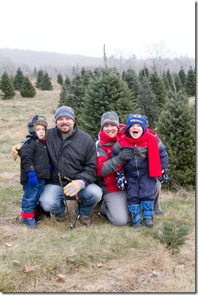 Xmastree-21