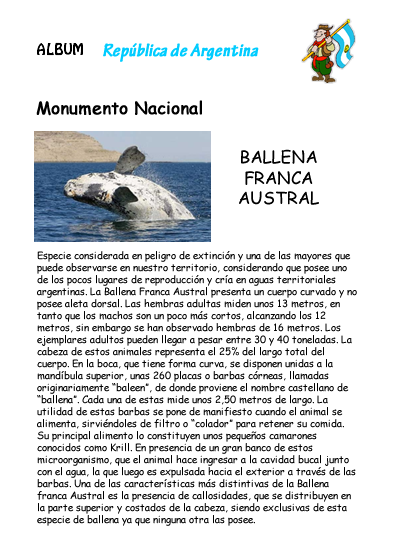 ballena franca austral