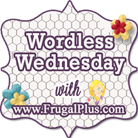 Wordless Wednesdays