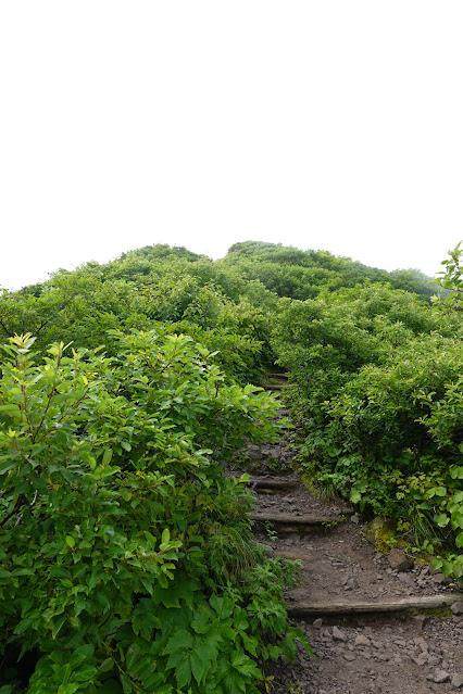 鳥取県西伯郡大山町大山　夏山登山道