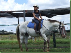 horse 194