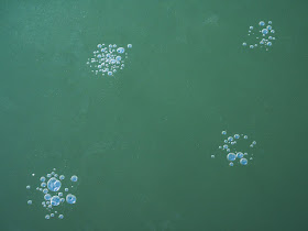 Photo of bubbles under the ice on the marina water