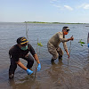 Kapolres Takalar Dampingi Wakil Gubernur Sulsel Tanam 20000 Mangrove