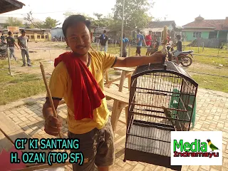 hasil lomba burung klaten, hasil lomba burung terbaru 2018, hasil lomba burung sragen, hasil lomba rajawali indonesia, burung new, jadwal lomba burung, daftar juara bnr semarang, hasil lomba agrobur, daftar juara bnr award 2017, daftar juara lomba burung kapolres cup sragen, kontes burung surabaya, video kontes burung lovebird, kontes burung murai, kontes burung anis, kontes burung kacer, kontes burung pleci, kontes burung kenari, kontes burung merpati, kontes burung konin, hasil lomba piala kapolres metro jakarta selatan, piala kapolres metro jakarta selatan, daftar juara piala kapolres metro jakarta selatan, daftar pemenang piala kapolres metro jakarta selatan, latber kalen sepur bc, latber ksbc, latpres kalen sepur bc, latpres ksbc, daftar juara latber exclusive kalen sepur bc, hasil lomba latber kalen sepur bc, hasil, lomba ksbc, daftar juara latber ksbc, daftar pemenang latber ksbc, lb sri tanjung, lovebird sri tanjung, prestasi sri tanjung, kelas lovebird, kelas murai, kelas cucak ijo, kelas kacer, kelas kenari, kelas ciblek, kelas pleci