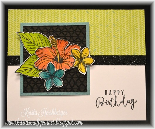 2016-7 blog hop - hawaiian hibiscus - calypso card DSC_1895