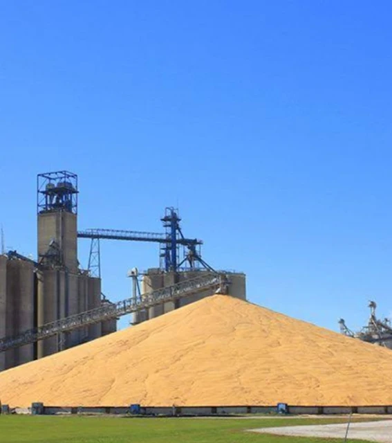 Modern Agriculture in Brazil