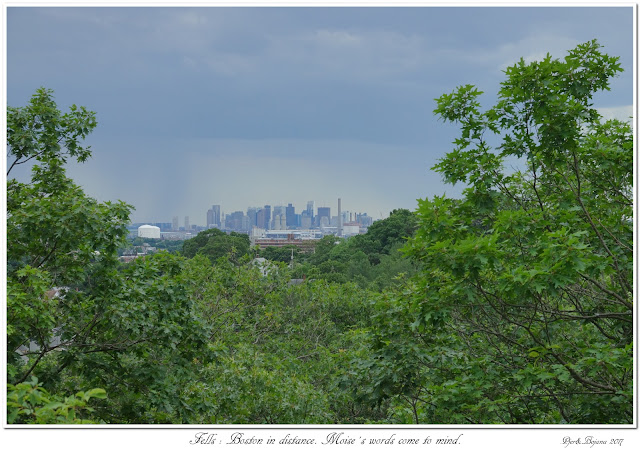 Fells: Boston in distance. Moise's words come to mind.