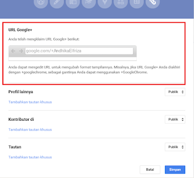 Custom Google+