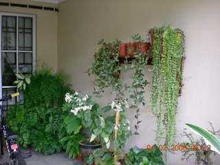 SOBRI HOME DECOR Rak tempat letak bunga dari kayu balau SOBRI HOME DECOR Rak tempat letak bunga dari kayu balau