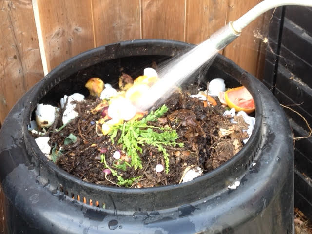 Compost