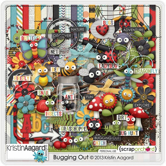 _KAagard_BuggingOut_Kit_PVW