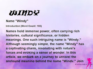 meaning of the name "WINDY"