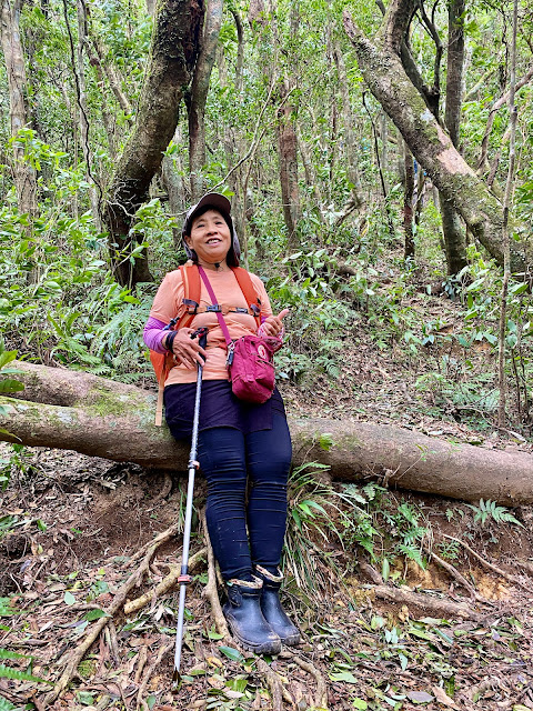 高腰山往拔刀爾山